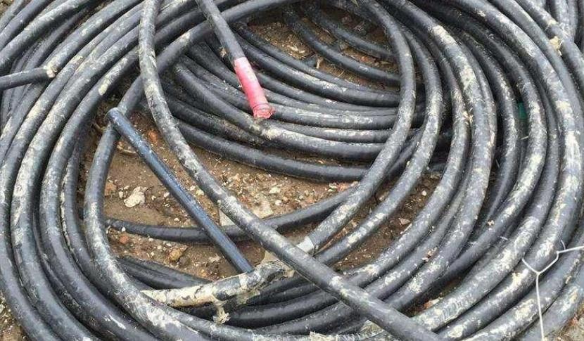 ţ������ - �����Ժ�Ϊһ��