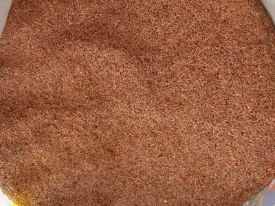 ţ������ - �����Ժ�Ϊһ��