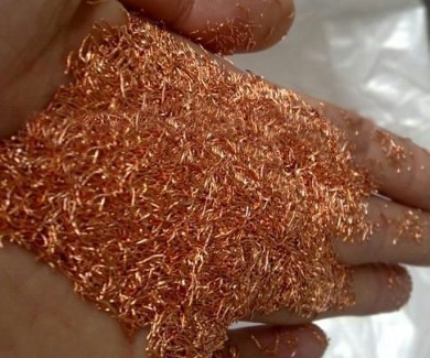 ţ������ - �����Ժ�Ϊһ��