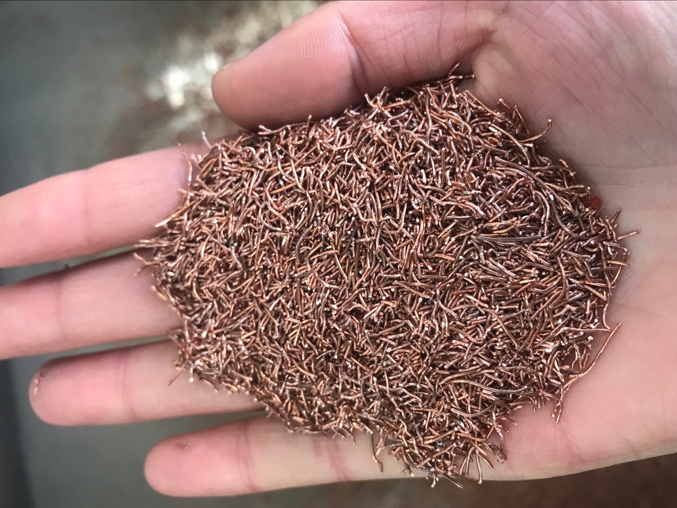 b91960b87b00676db08d2f83a785c5b8 牛八体育 - 与球迷合为一体