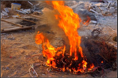 ���Ͼɵ���