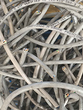 ţ������ - �����Ժ�Ϊһ��